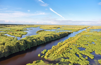 Transdev Normandie 2020_Parc naturel de Brière